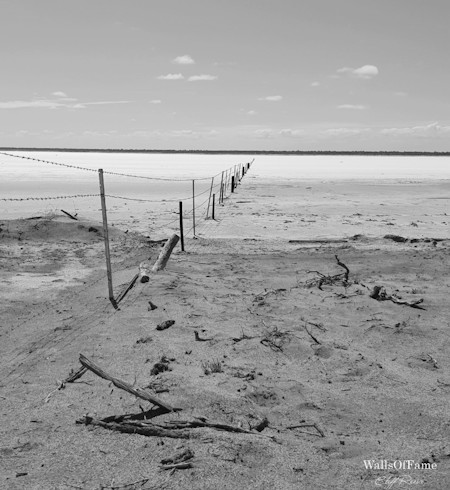 Beach, Coast, Driftwood, Nature, Outdoors, Sea, Shoreline, Water, Waterfront, Wood